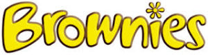 brownies logp